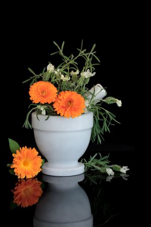  Marigold flowers and white lavender herb in a marble mortar with pestle with reflection over black background.の写真素材