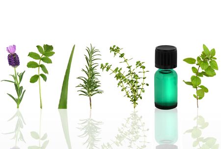 Herb leaf selection of lavender, valerian, aloe vera, rosemary, lemon thyme and marjoram with an aromatherapy essential oil glass dropper bottle, over white background.の写真素材