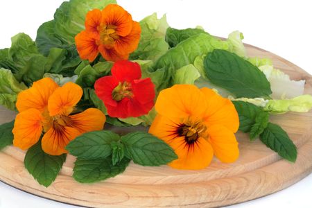 Nasturtian flower, mint herb and lettuce leaf salad on a circular chopping board, over white background.の写真素材