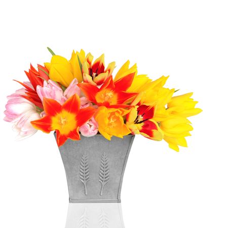 Red, yellow and pink tulip flowers in a pewter vase, isolated over white background.の写真素材