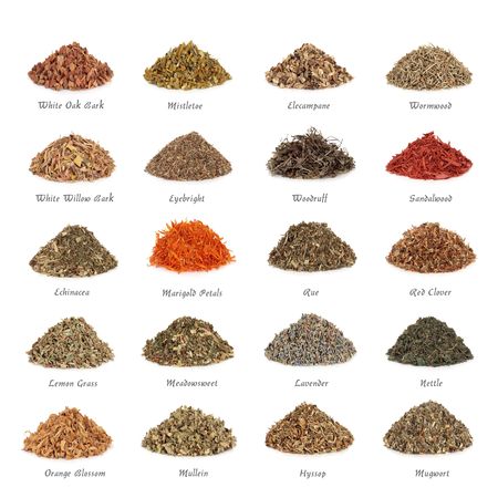 Medicinal and magical herbs used for healing and to make potions and cast spells, isolated over white background. With titles.の写真素材