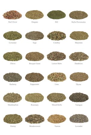  Large collection of dried herbs, with titles isolated over white background.の写真素材