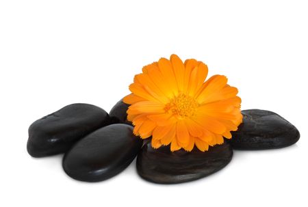 Spa treatment stones with a marigold flower, over white background.の写真素材