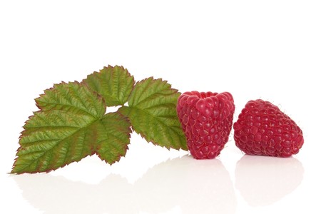 Raspberry fruit with leaf sprig isolated over white background.の写真素材