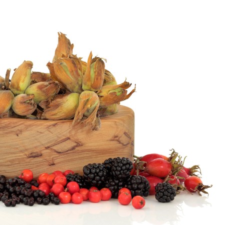 Wild food of autumn of rose hip, elderberry, blackberry and rowan berry with fresh hazelnuts in an olive wood bowl, isolated over white background.の写真素材