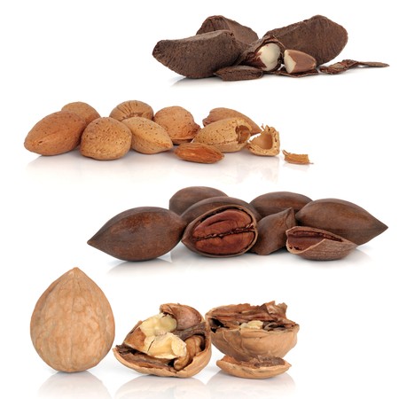 Walnut, pecan, almond and brazil nut sampler isolated over white background with reflection.の写真素材
