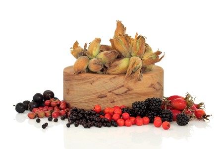 Wild food of autumn of rose hip, elderberry, hawthorn, blackberry, rowan and sloe berry, with  hazelnuts in an olive wood bowl, isolated over white background.の写真素材