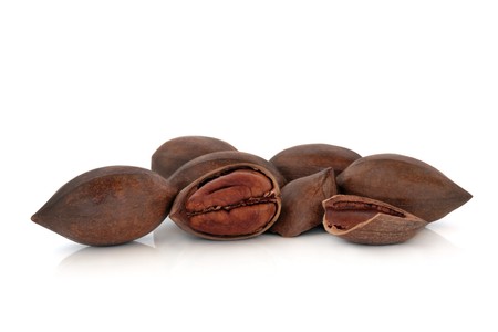 Pecan nut group with nuts whole and one cracked open, isolated over white background.の写真素材