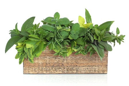 Herb leaf mixture in a rustic wooden plant box including rosemary and bay and varieties of mint, oregano and sage, isolated over white background.の写真素材