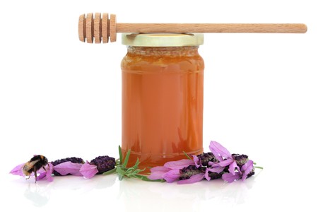 Lavender flowers and bumble bee with honey jar and wooden dropper stick, isolated over white background with reflection.の写真素材