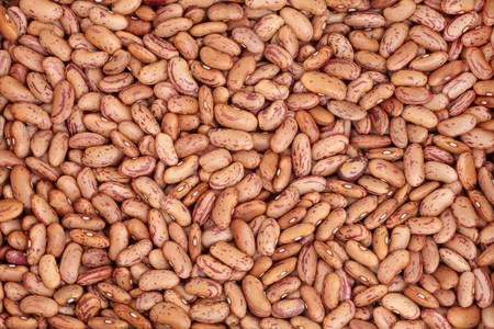 Pinto bean pulses forming a textured  background.