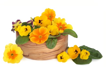  Viola flowers with spinach and beet leaves in an olive wood bowl and scattered, isolated over white background.の写真素材
