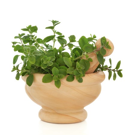 Oregano herb leaf sprigs in a marble mortar with pestle, isolated over white background. Origanum.の写真素材