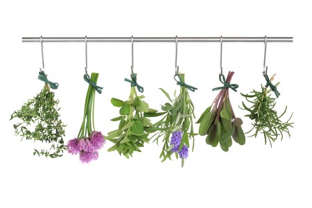 Herb leaf and flower tied in bunches hanging and drying on a stainless steel pole , isolated over white background.の写真素材