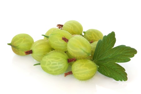 Gooseberry fruit with leaf sprig, isolated over white background.の写真素材