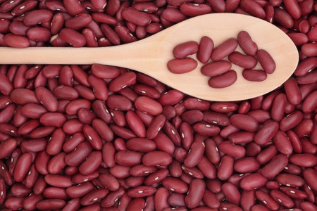 Kidney bean pulses in a wooden spoon and forming a background.の写真素材