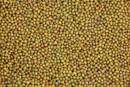 Mung berken bean pulses forming a background.の写真素材