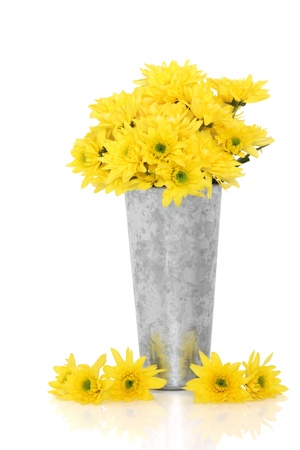  Chrysanthemum flower arrangement in a distressed aluminum vase with scattered flowers, isolated over white background with reflection.の写真素材