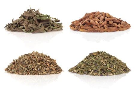  Medicinal herbs of balm of gilead, damiana, plantain and violet leaves and flowers also used in magical potions. Isolated over white background. の写真素材