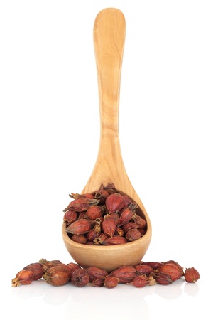  Dried gardenia fruit in an olive wood ladle and scattered, isolated over white background. Focus on the fruit. Used in traditional chinese herbal medicine. Zhi zi. Gardeniae jasminoids.の写真素材
