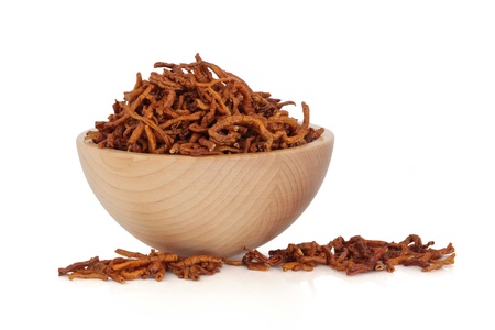 Senega root in a beech wood bowl and scattered isolated over white background. Used in chinese herbal medicine to treat respiratory problems. Yuan zhi.  Radix polygalae tenufoliae.の写真素材