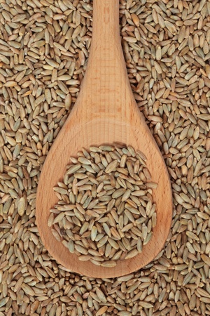 Rye grain on a wooden spoon and forming a background.の写真素材