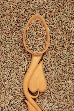 Rye wheat grain in a carved wooden spoon with heart shape.の写真素材