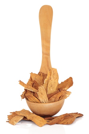 Astragalus root in an olive wood ladle and scattered, isolated over white background. Used extensively in chinese herbal medicine to speed healing and treat diabetes. Zhi huang qui. Astragali radix.の写真素材
