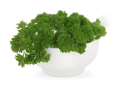 Parsley herb leaf sprigs in a porcelain mortar with pestle, over white background. Petroselinumの写真素材