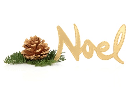 Christmas noel gold sign with spruce pine leaf sprig with golden pine cone isolated over white background.の写真素材
