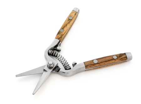 Household secateurs with wooden handles isolated, over white background.の写真素材