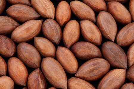 Pecan nuts in shells forming a background