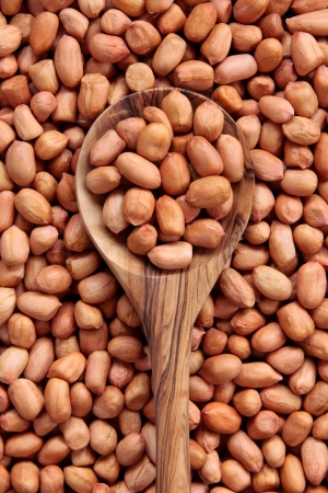 Peanut spoonful in an olive wood spoon and forming a background  の写真素材
