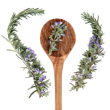 Rosemary herb with flower sprigs in an olive wood spoon and loose over white background の写真素材
