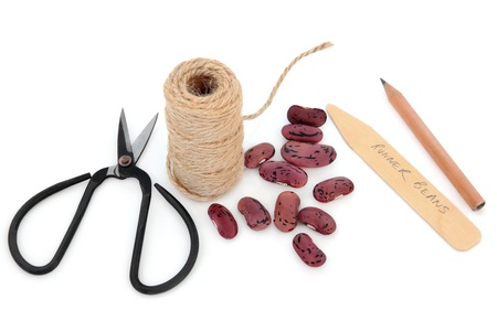 Runner bean seed sowing equipment of string, pencil, wooden labels and scissors over white...
