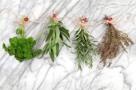 Herbs hanging and drying of parsley, sage, rosemary and thyme on string line with ladybird pegs over marble background の写真素材