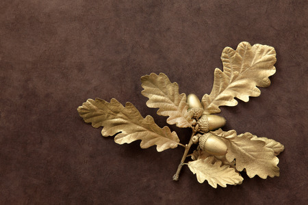 Gold acorn leaf sprig over brown lokta handmade paper background 