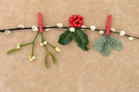 Christmas and winter flora of fir, holly an mistletoe hanging on a pussy willow branch over brown paper background.の写真素材