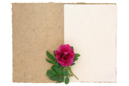 Old vintage notebook with red rose over white background.の写真素材