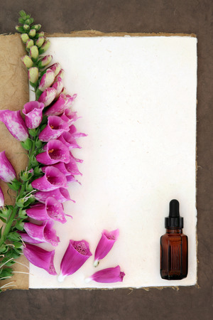 Foxglove flower border with medicinal dropper bottle on a natural hemp notebook and brown paper background. Digitalis pupurea.の写真素材