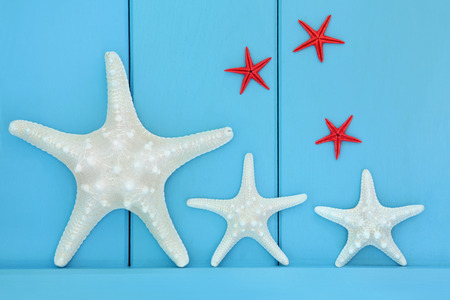 Starfish seashells on a wooden blue background.の写真素材
