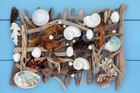 Sea shell, seaweed, pearl and driftwood abstract collage on wooden blue background.の写真素材