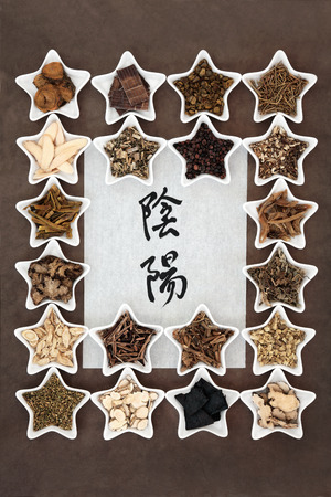 Chinese herbal medicine selection with yin and yang symbols in calligraphy script on rice paper. Translation reads as yin yang.の写真素材