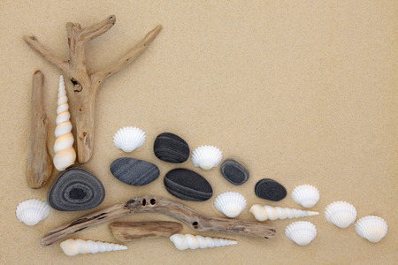 Seashell pebble and driftwood abstract collage on beach sand background.の写真素材
