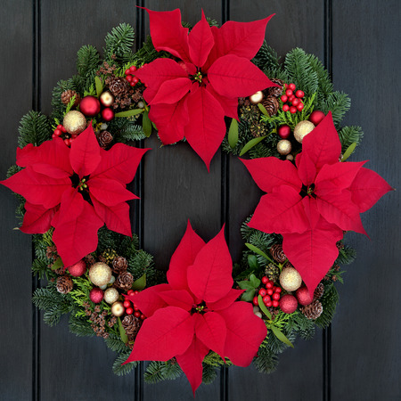 Poinsettia flower wreath over dark oak wood front door background.の写真素材