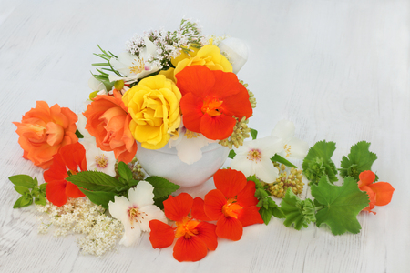 Medicinal flower and herb selection of nasturtium, rose, elderflower, ladies mantle, orange blossom, marjoram, mint and angelica seed heads used in natural herbal medicine.の写真素材