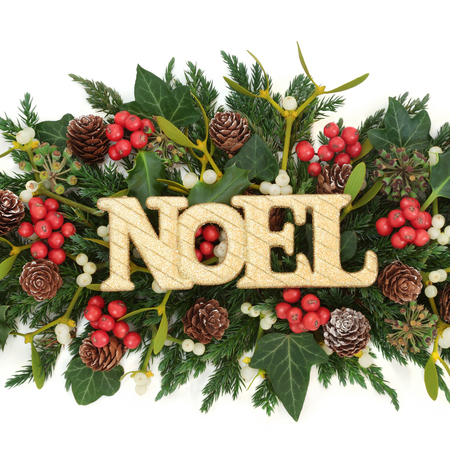 Gold noel sign decoration with holly, ivy, mistletoe, fir and pine cones on white background.の写真素材