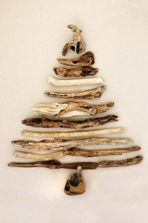 Abstract driftwood tree on mottled cream background. Environmental symbol concept.の写真素材