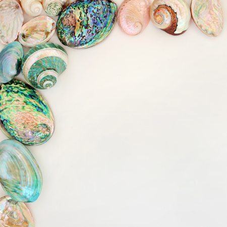Seashell background border on parchment paper with mother of pearl shells. Top viewの写真素材