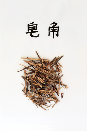 Honeylocust herb used in traditional chinese herbal medicine, has anti inflammatory & anti bacterial...